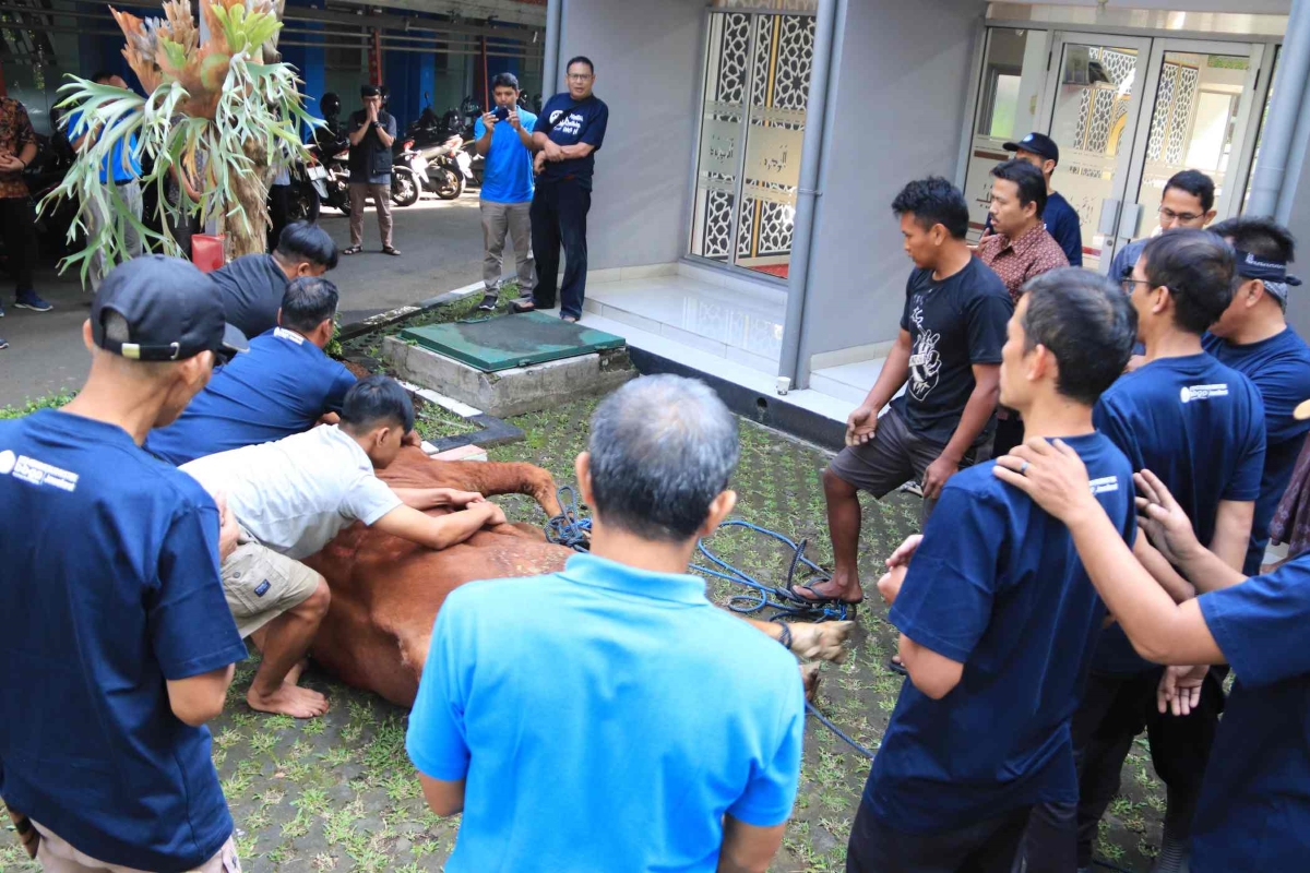 Balai Besar Guru Penggerak Jawa Barat Gelar Penyembelihan Hewan Qurban dalam Peringatan Idul Adha 1445 Hijriah
